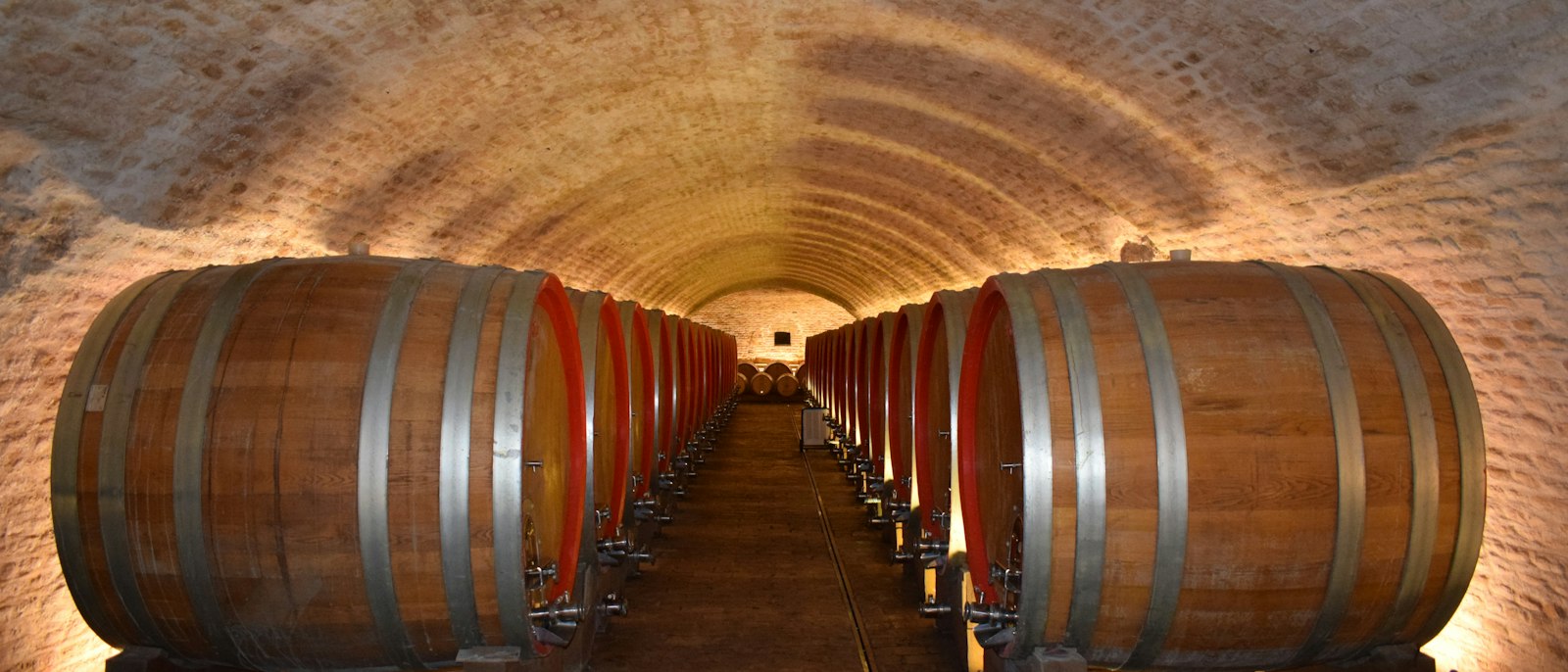 Botti in cantina