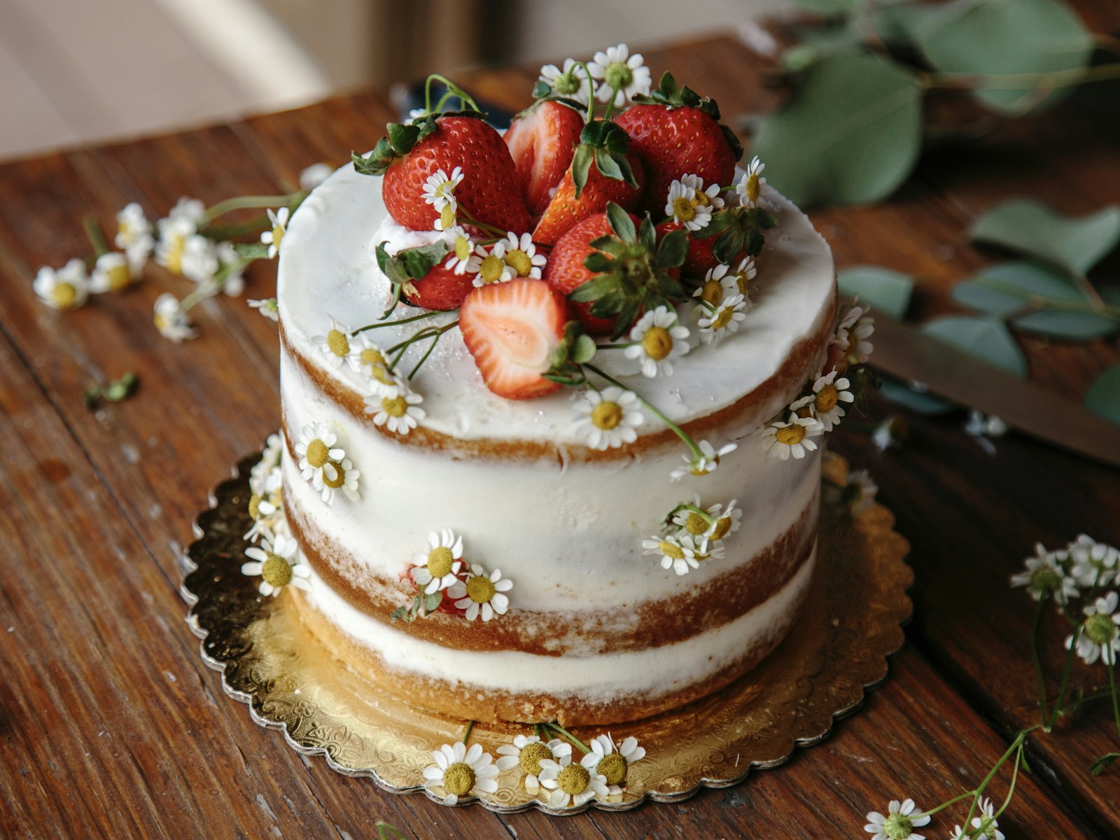 Torta moderna
